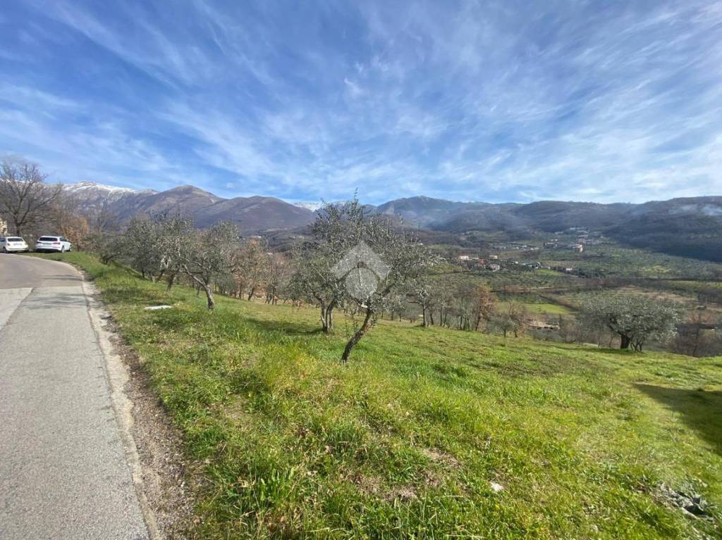 immagine annuncio 13 di 14