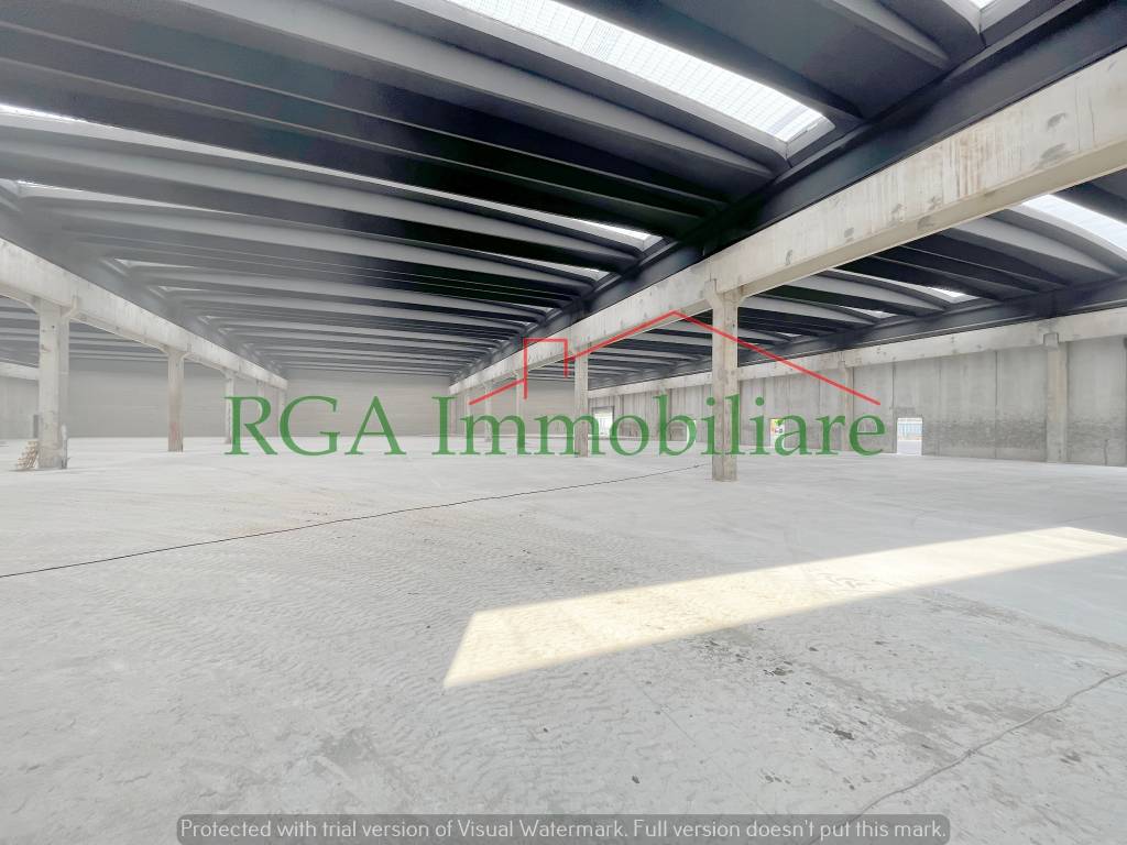 immagine annuncio 8 di 12