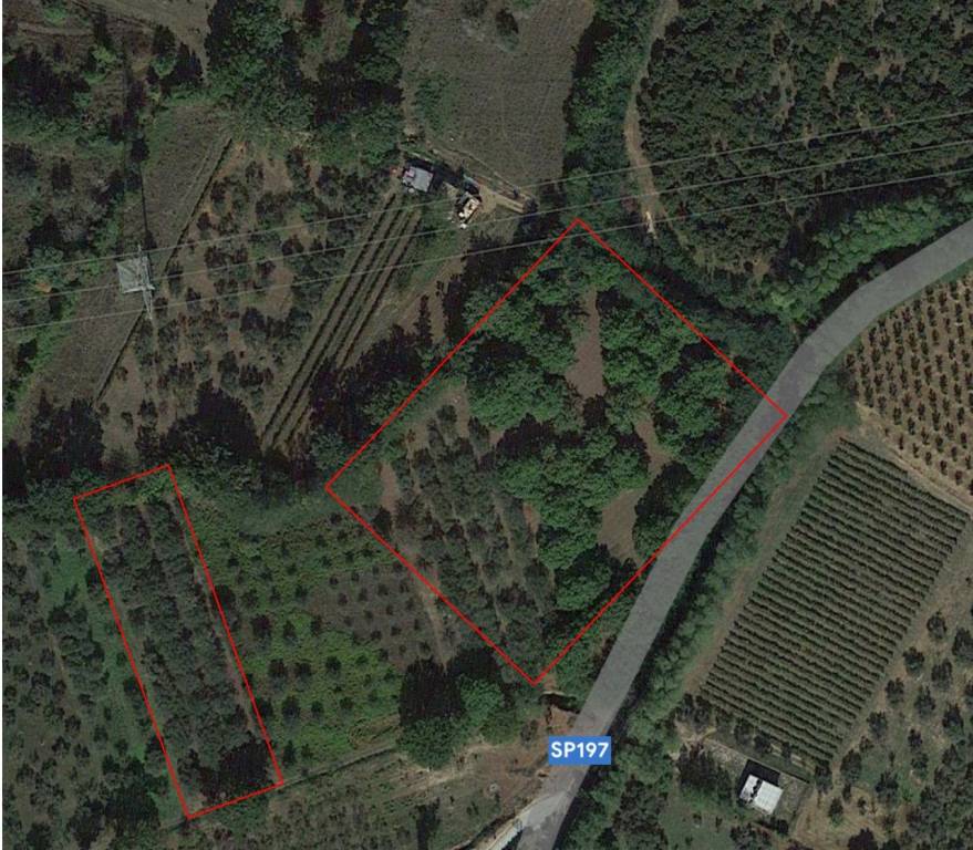 Terreno Agricolo in vendita a Galluccio strada Provinciale San clemente-vaglie-sessa Mignano
