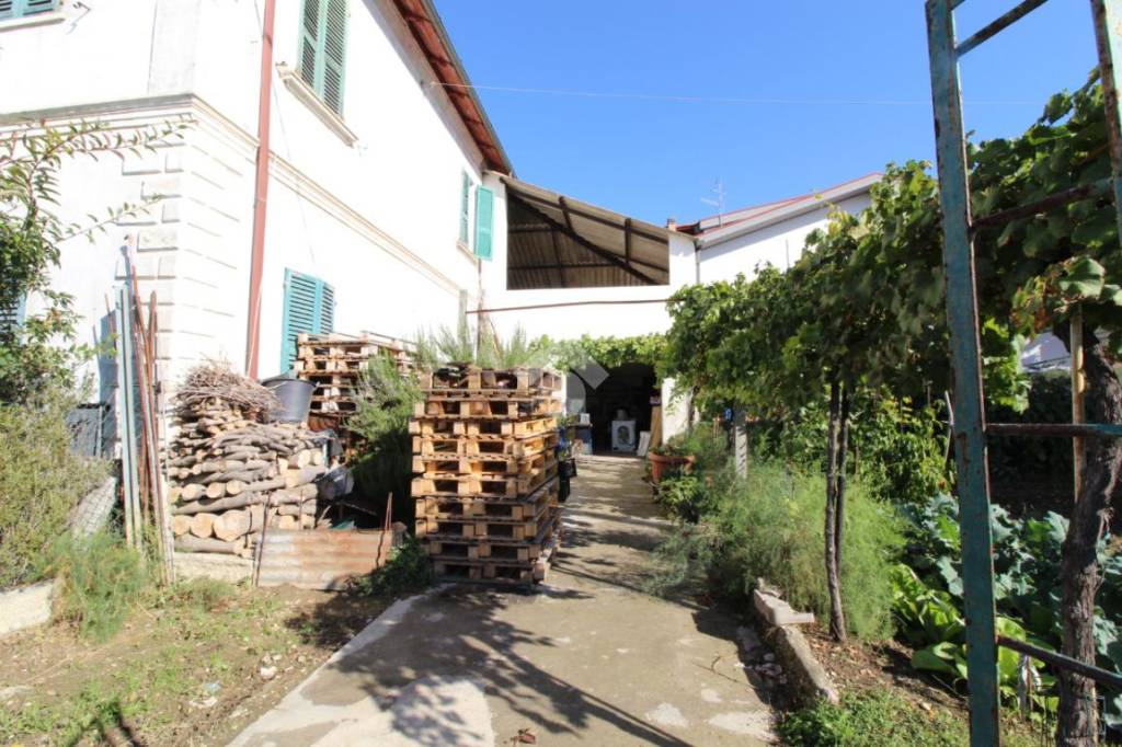 immagine annuncio 9 di 13