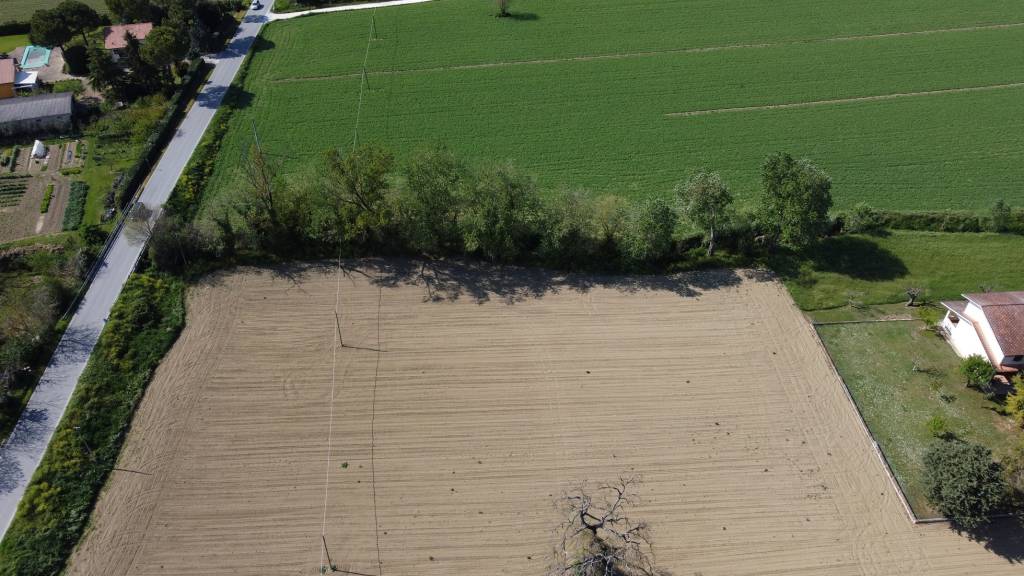 immagine annuncio 4 di 11