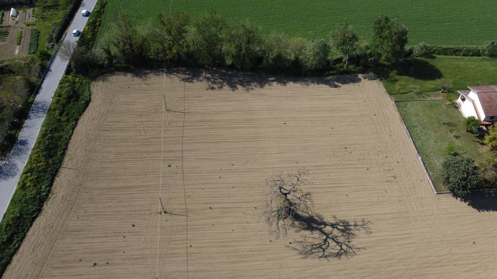 immagine annuncio 5 di 11