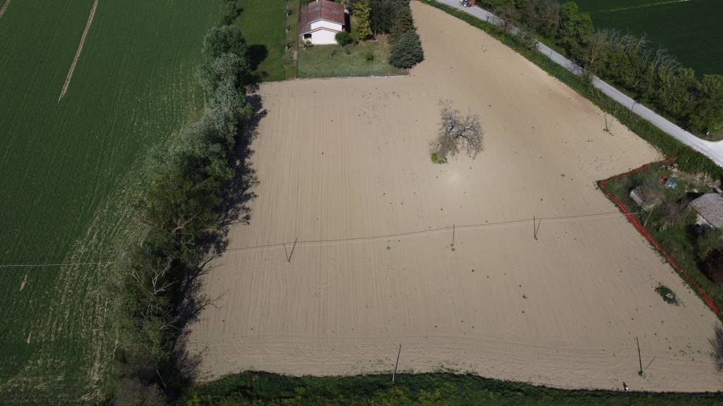 immagine annuncio 8 di 11