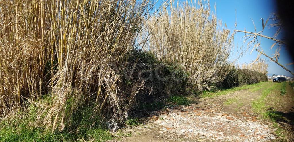 Terreno Agricolo in vendita a Giugliano in Campania via Signorelle a Patria