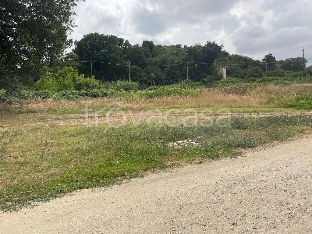 immagine annuncio 2 di 7