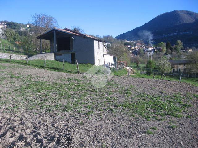 immagine annuncio 1 di 4