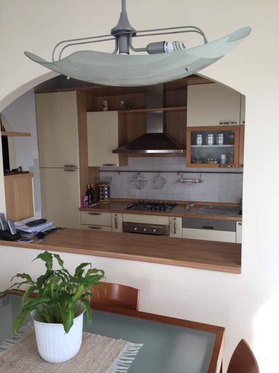 Appartamento in affitto a Misano Adriatico via Don Lorenzo Milani