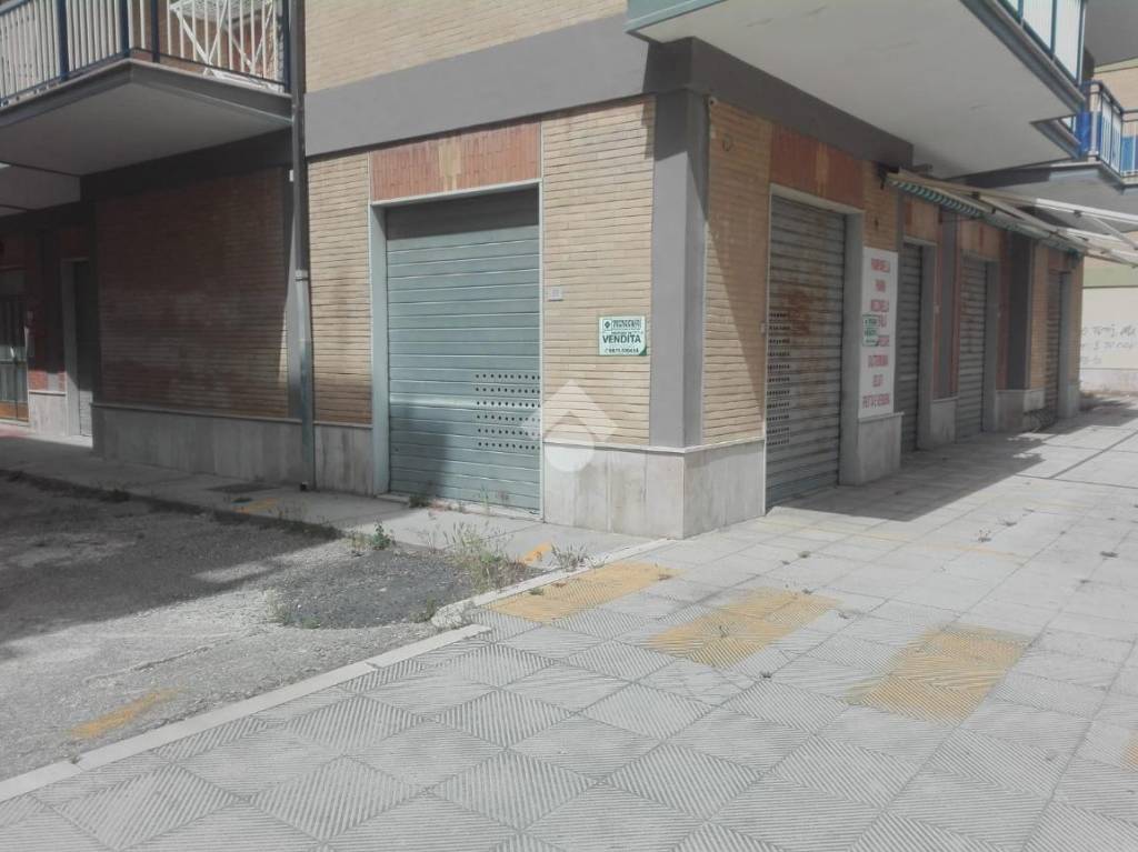 immagine annuncio 3 di 12
