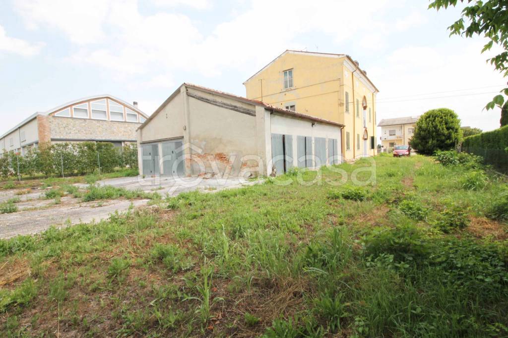 immagine annuncio 12 di 13