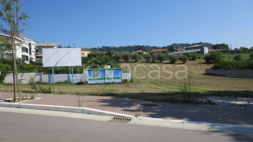 immagine annuncio 2 di 11