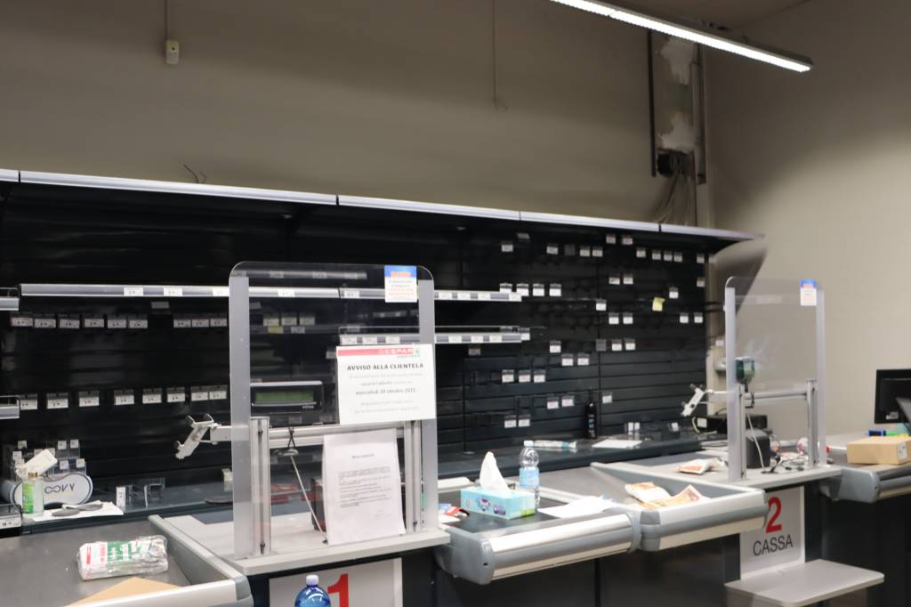 immagine annuncio 6 di 15