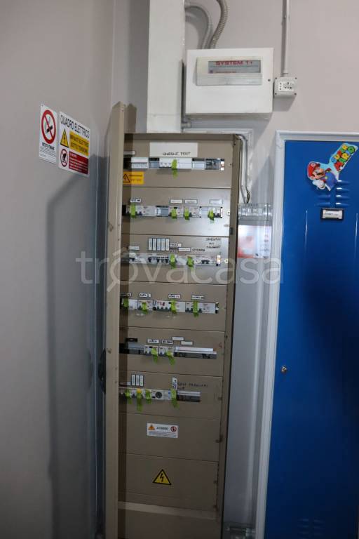 immagine annuncio 10 di 15