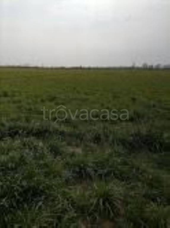 Terreno Agricolo in vendita a Tregnago sp10