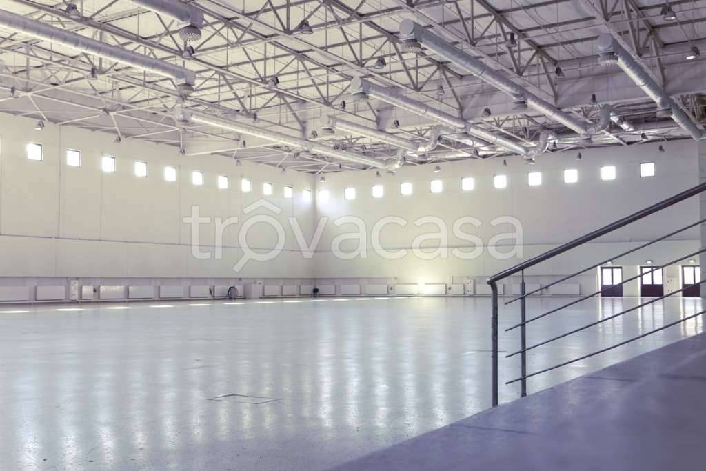 immagine annuncio 2 di 6