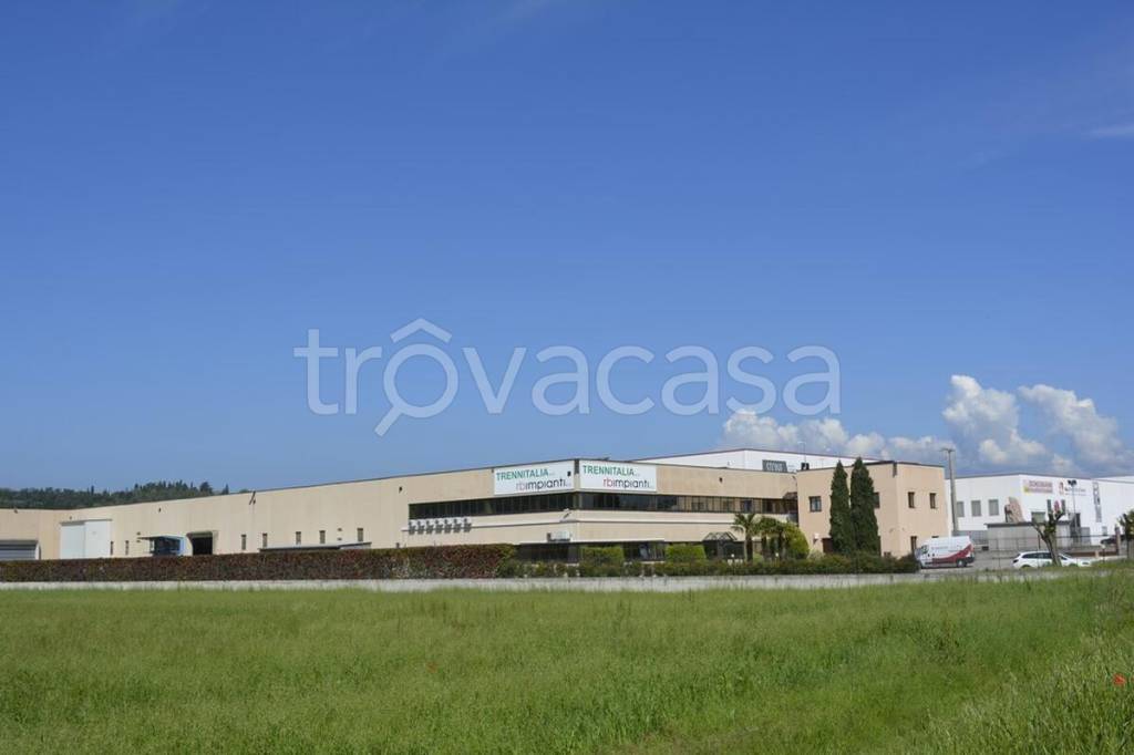immagine annuncio 10 di 13