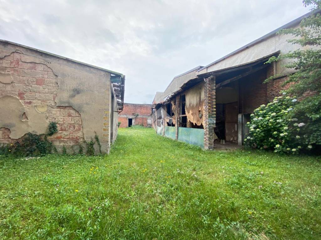 immagine annuncio 6 di 13