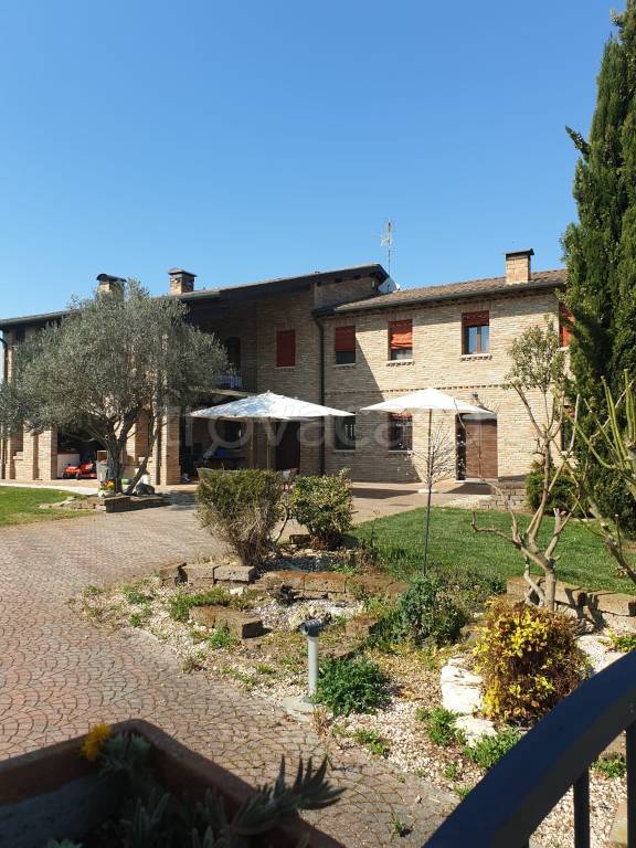 immagine annuncio 3 di 12