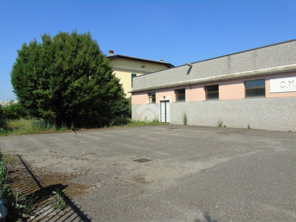 immagine annuncio 2 di 15