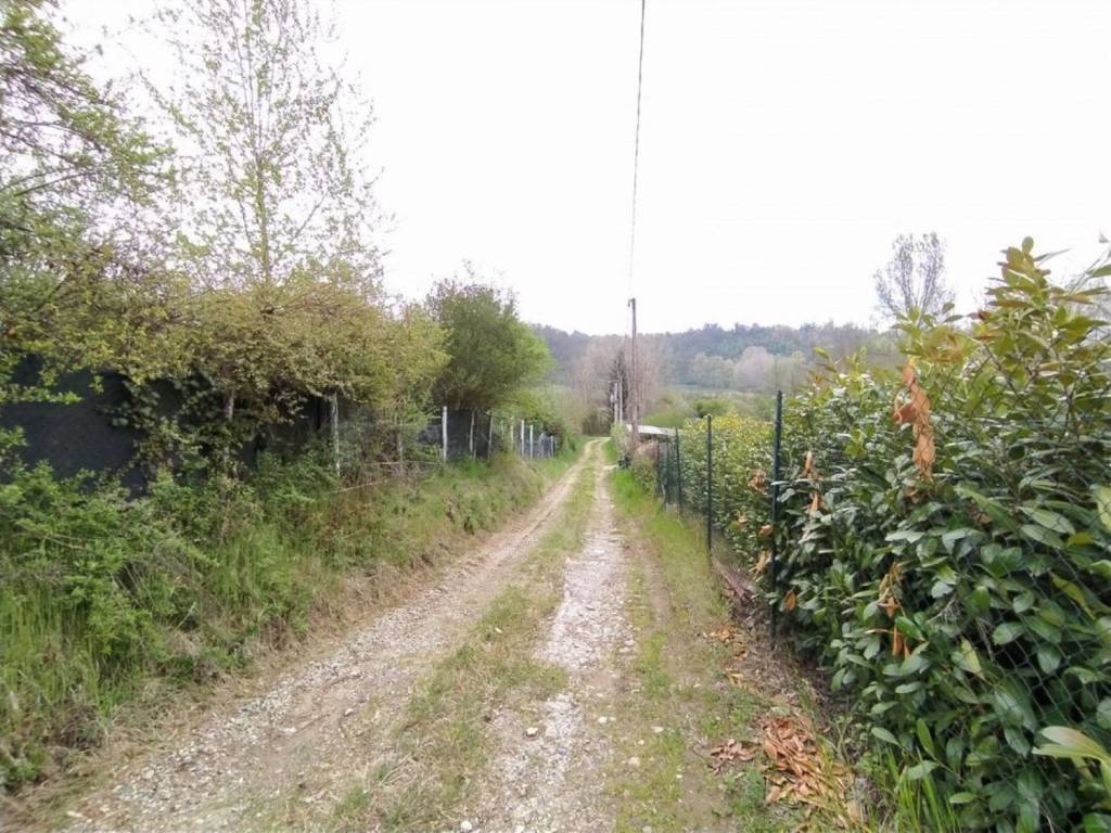 immagine annuncio 4 di 15