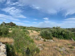 Terreno agricolo in vendita a noto ss287