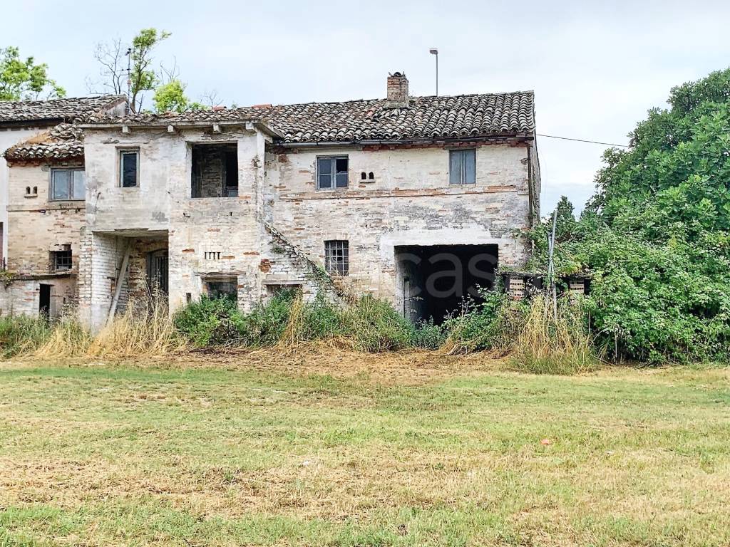 immagine annuncio 2 di 12