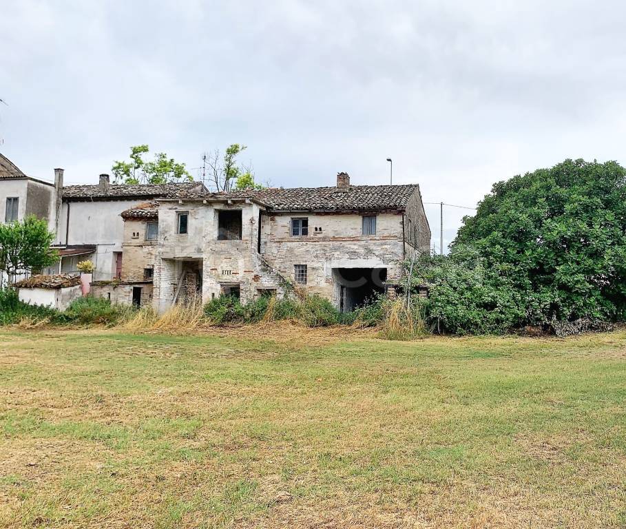 immagine annuncio 5 di 12