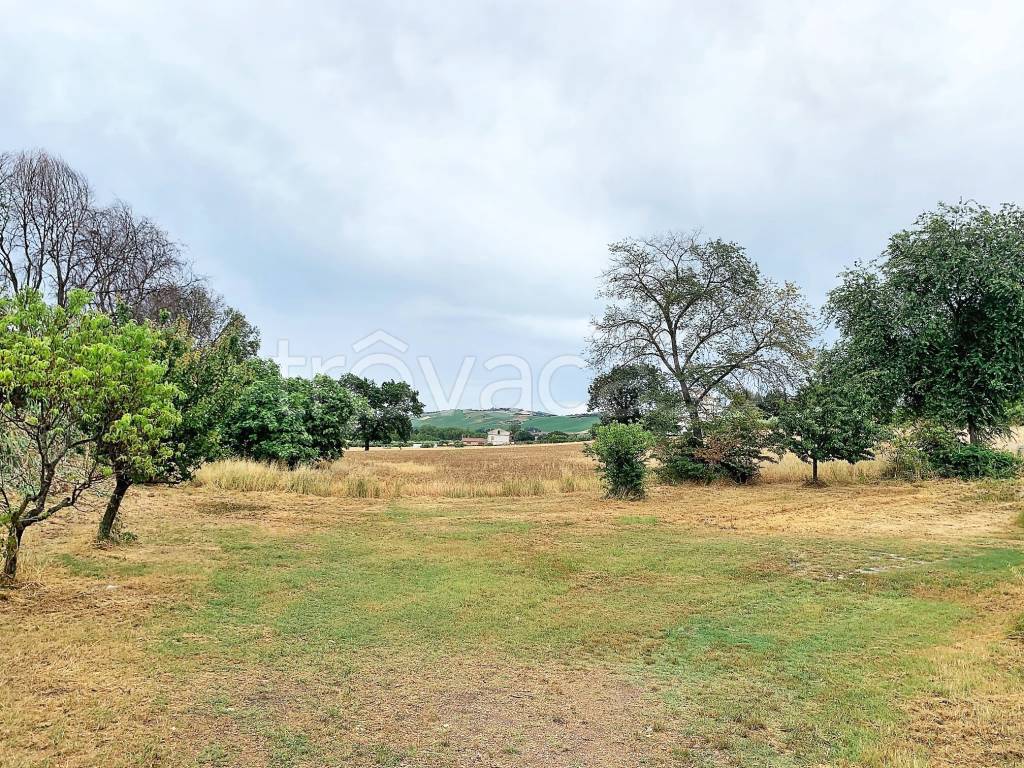 immagine annuncio 7 di 12