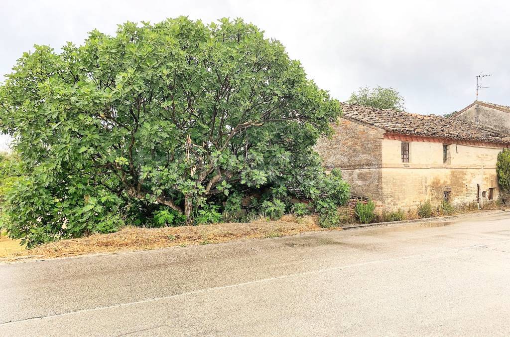 immagine annuncio 8 di 12