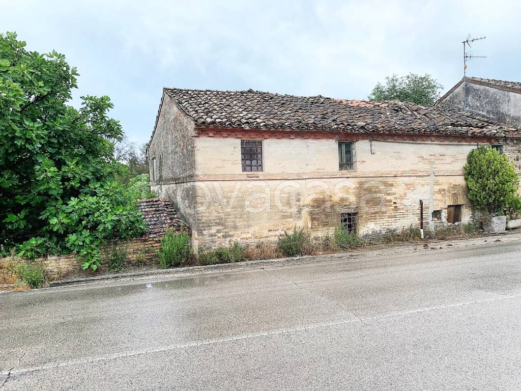 immagine annuncio 9 di 12