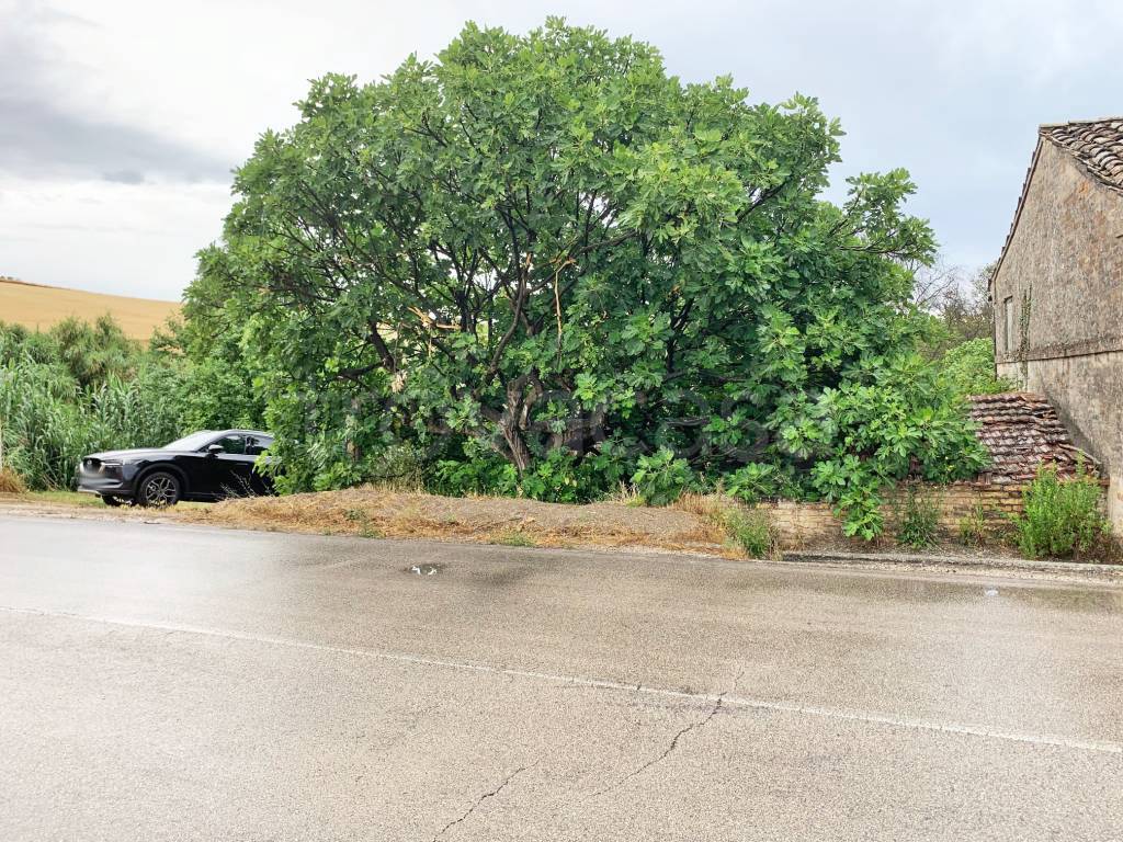 immagine annuncio 10 di 12