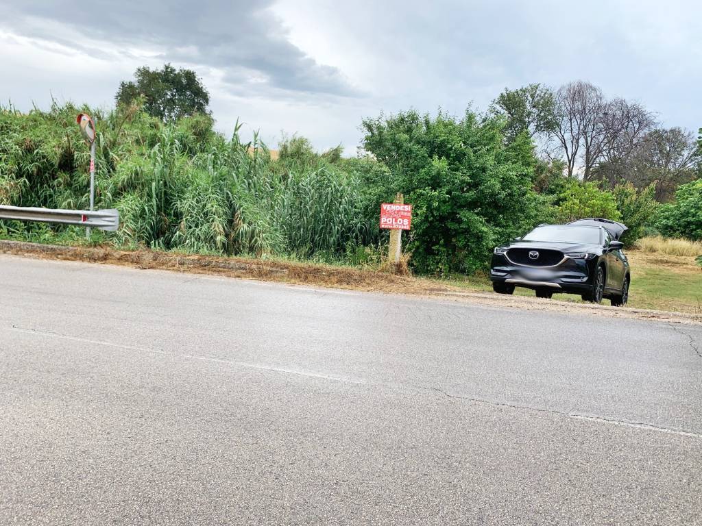 immagine annuncio 11 di 12