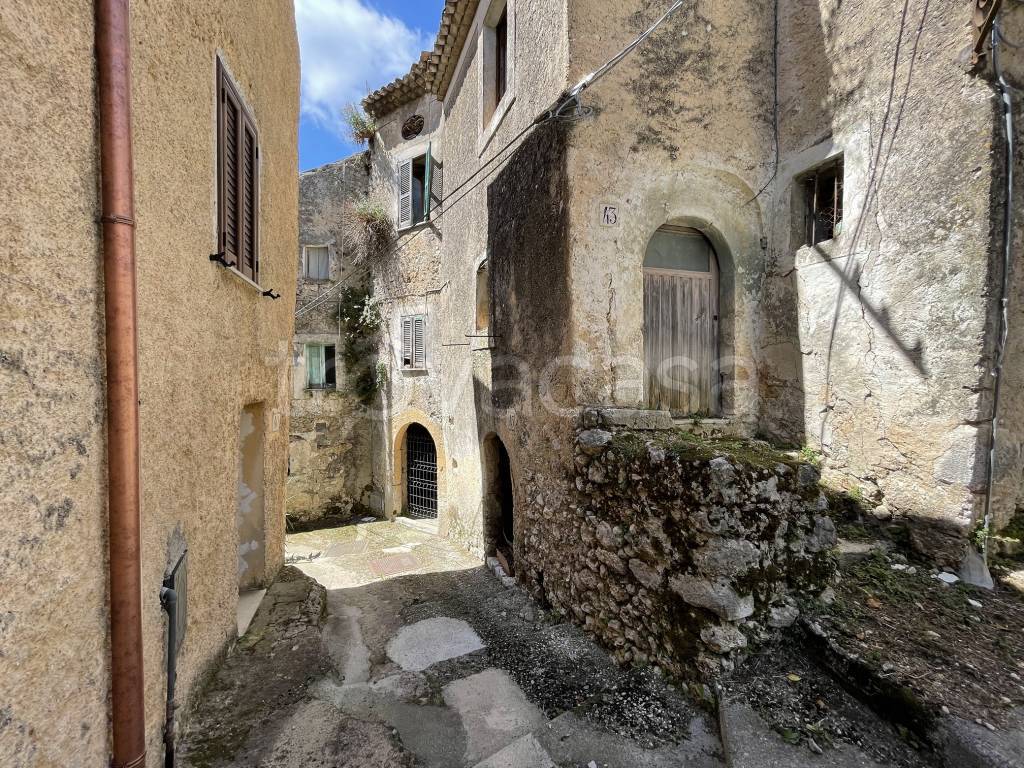 immagine annuncio 2 di 11