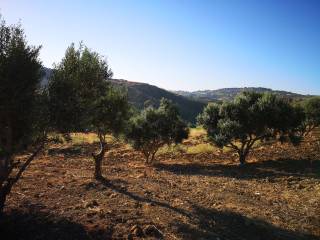 Terreno agricolo in vendita ad agrigento via riccardo quartararo