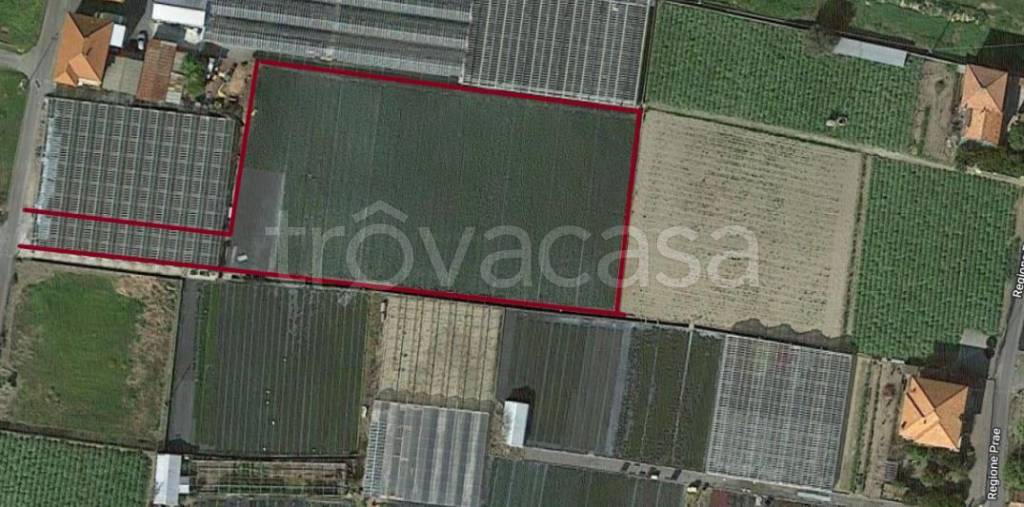 Terreno Agricolo in vendita ad Albenga regione Prae
