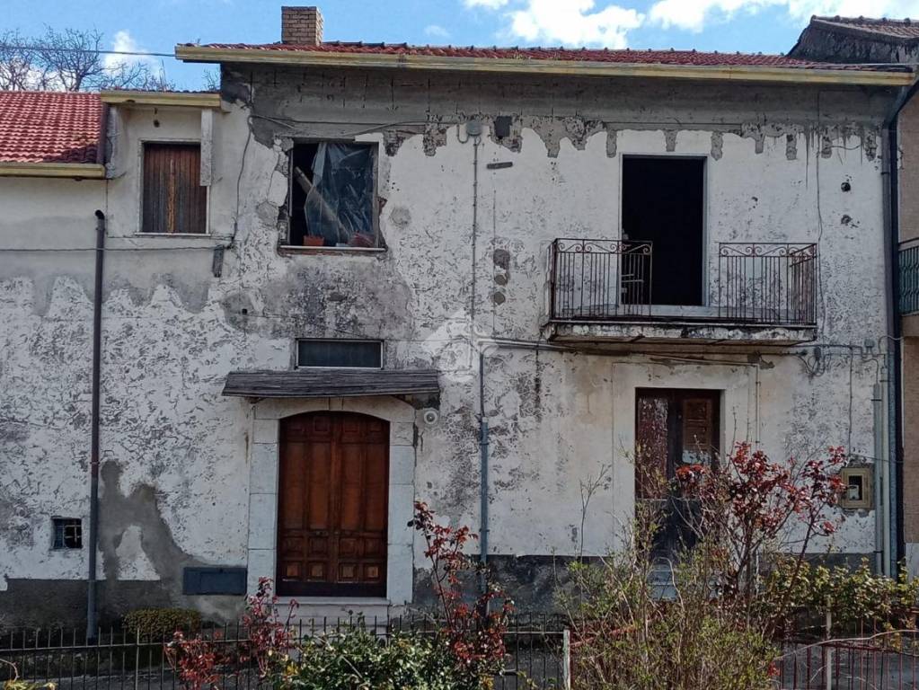 immagine annuncio 1 di 14