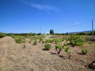 Terreno agricolo in vendita a selargius strada vicinale di su stracoxiu