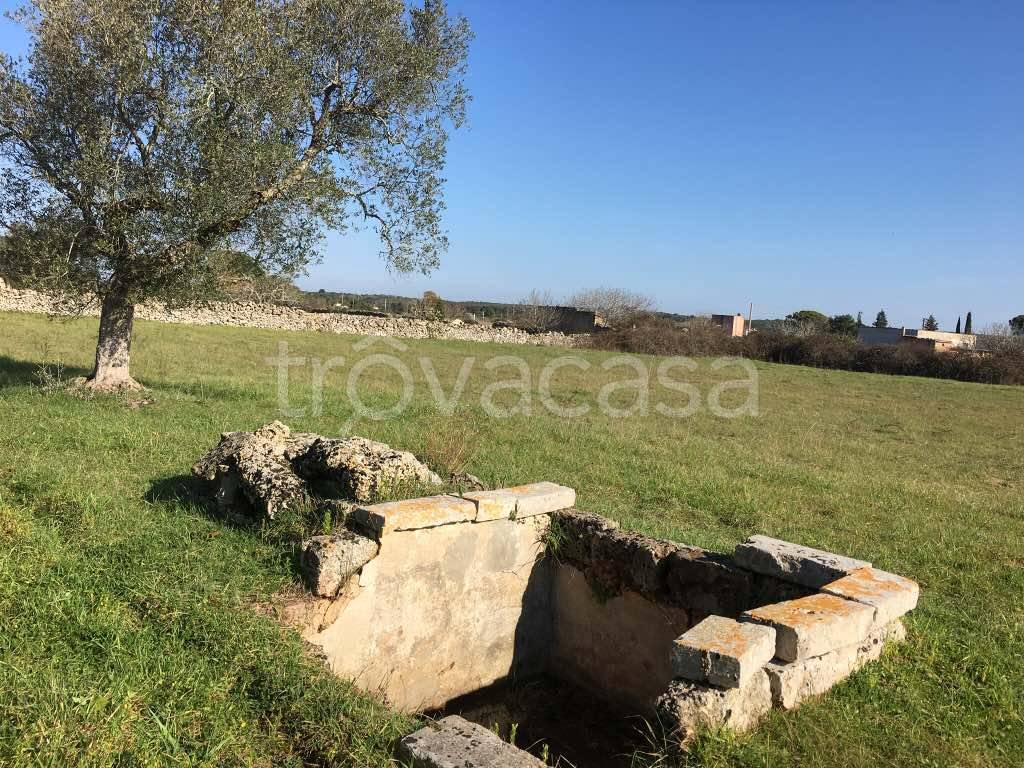 immagine annuncio 3 di 7