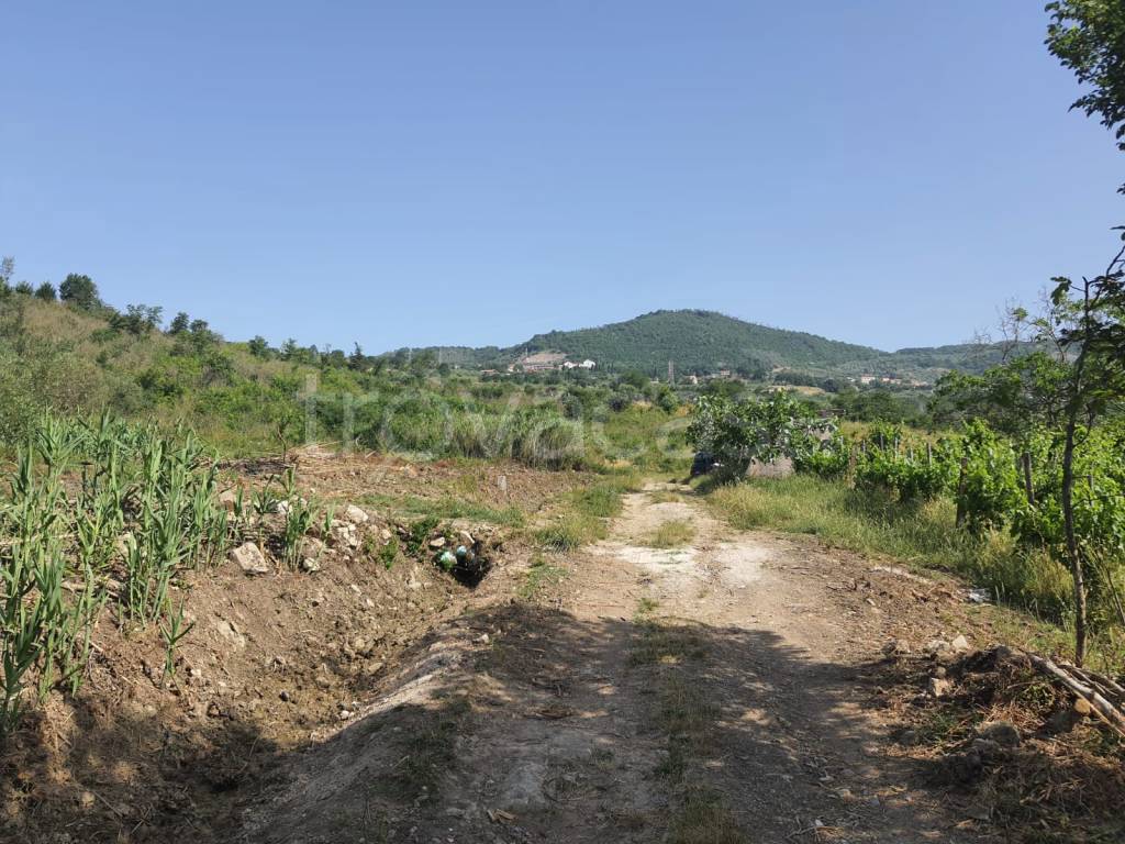 Terreno Agricolo in vendita a Montecorvino Pugliano