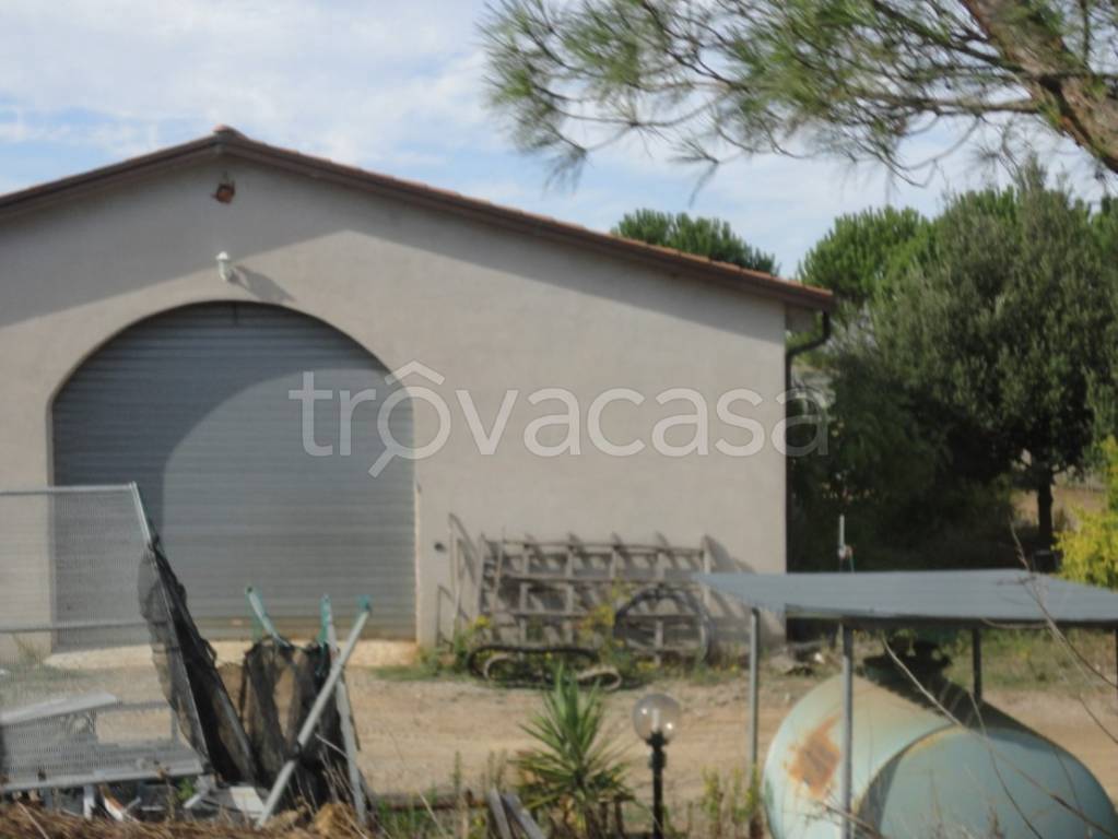 Terreno Agricolo in vendita a Magliano in Toscana strada Provinciale Poggio la Mozza
