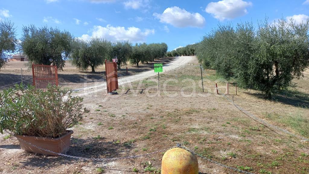 immagine annuncio 3 di 12