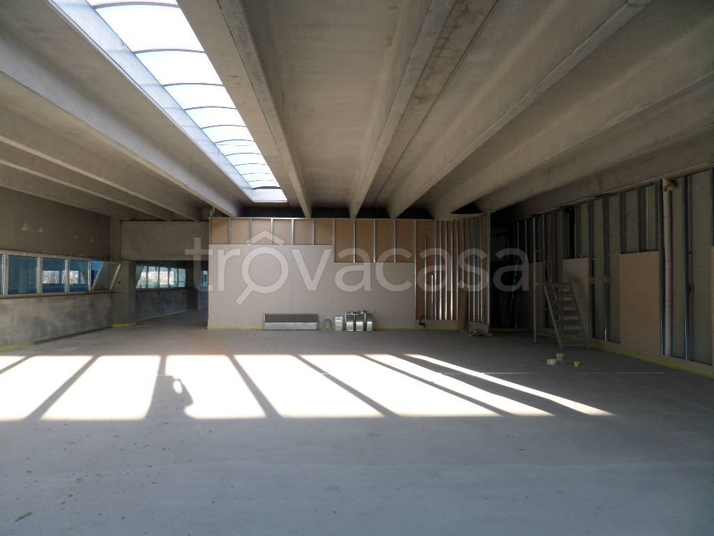 immagine annuncio 6 di 8