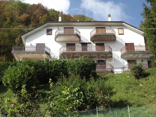 immagine annuncio 11 di 13