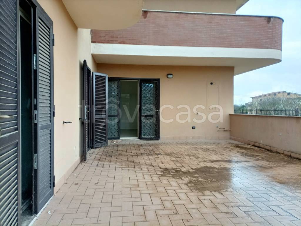 immagine annuncio 9 di 14