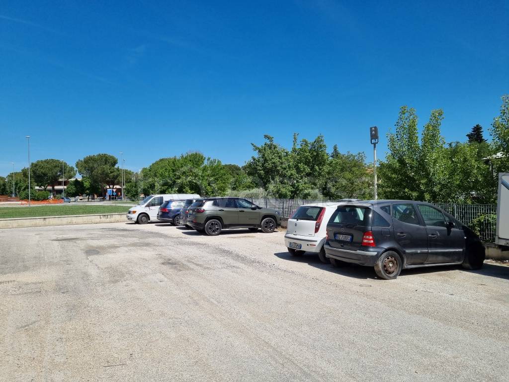 immagine annuncio 12 di 13