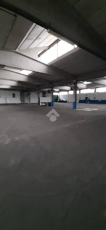 immagine annuncio 4 di 9