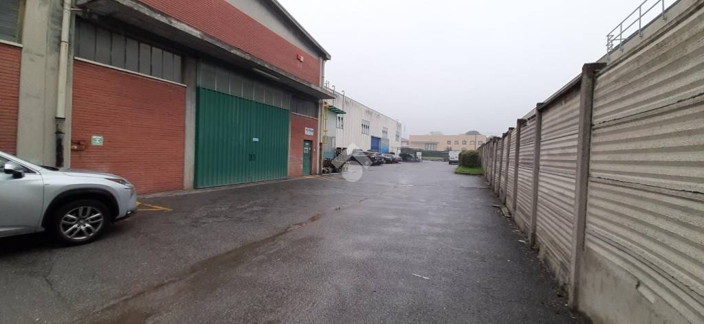 immagine annuncio 5 di 9