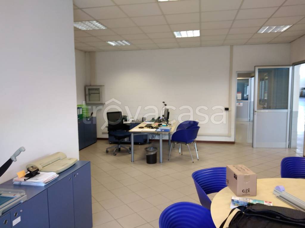 immagine annuncio 12 di 15