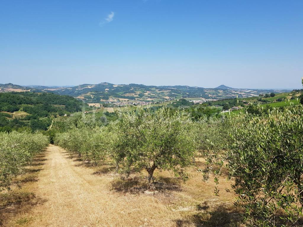 Terreno Agricolo in vendita a Cesena