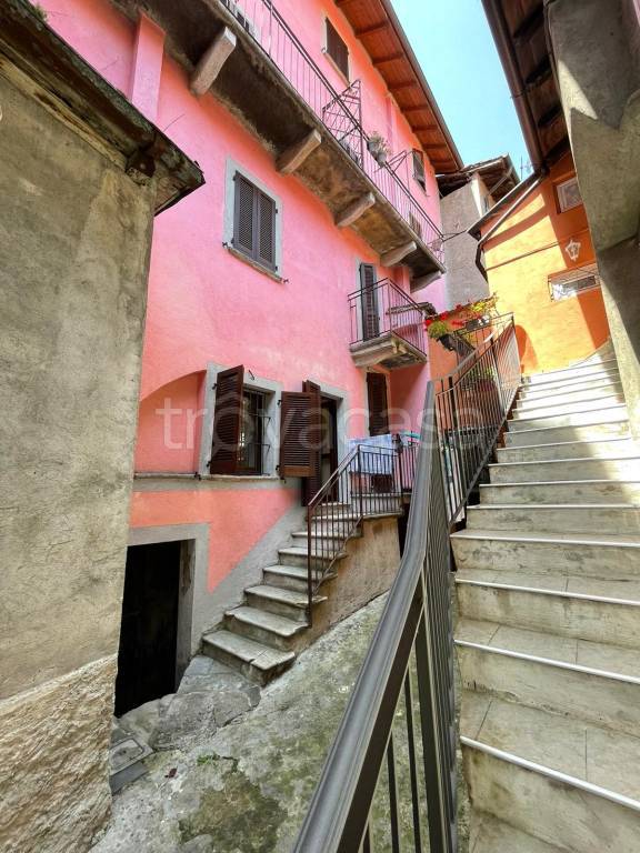 immagine annuncio 1 di 14