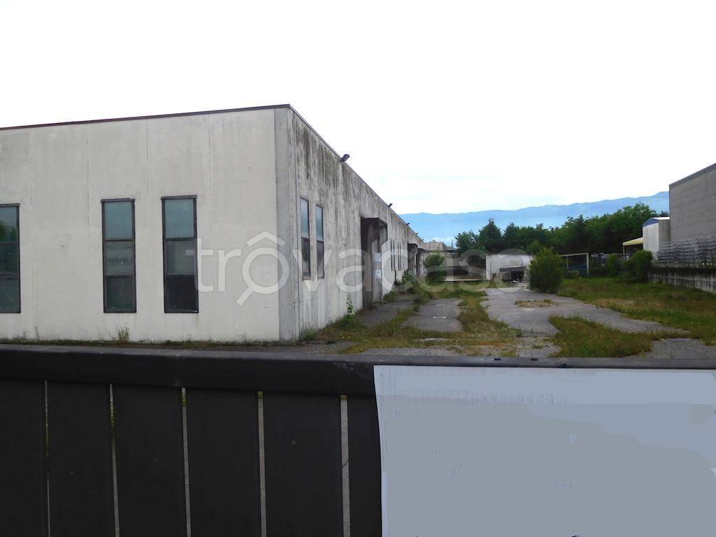 immagine annuncio 4 di 6